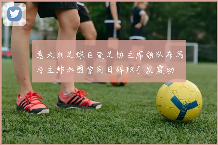 意大利足球巨变足协主席领队布冯与主帅加图索同日辞职引发震动