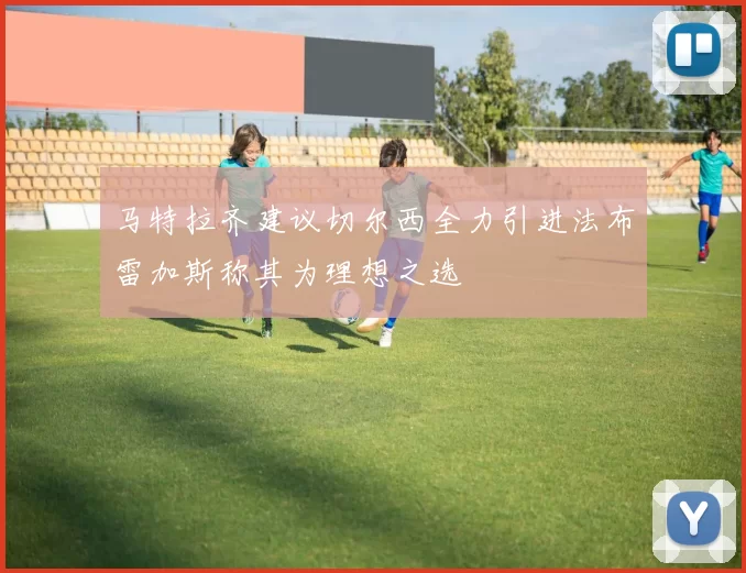马特拉齐建议切尔西全力引进法布雷加斯称其为理想之选