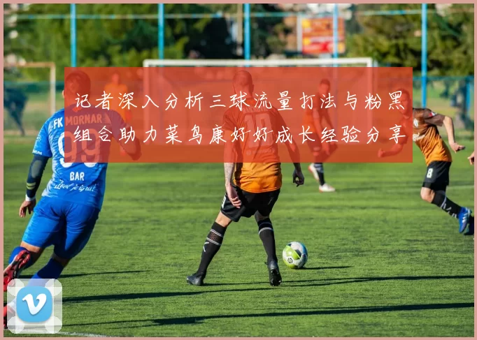 记者深入分析三球流量打法与粉黑组合助力菜鸟康好好成长经验分享